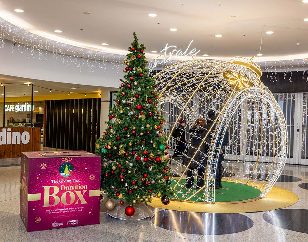 Festive season to bring joy 